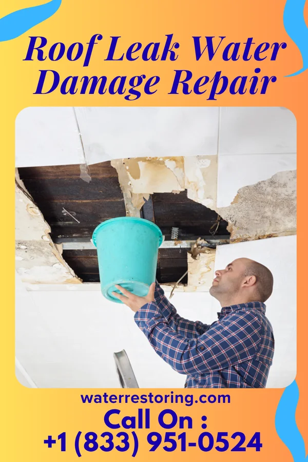 Roof Leak Water Damage Repair in Red Lake Falls, MN